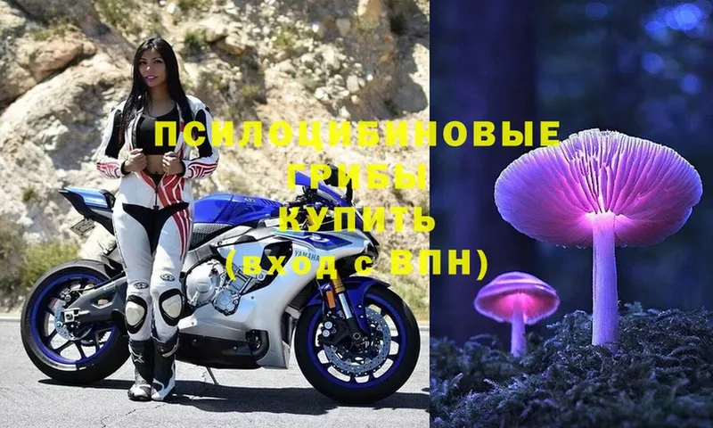 Галлюциногенные грибы Magic Shrooms  закладка  Белинский 